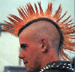 punk head képe